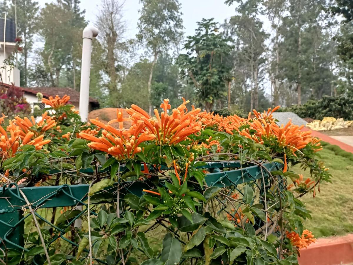 Готель Coorg Kolamotte Gonikoppal Екстер'єр фото