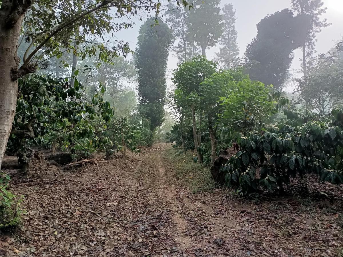 Готель Coorg Kolamotte Gonikoppal Екстер'єр фото