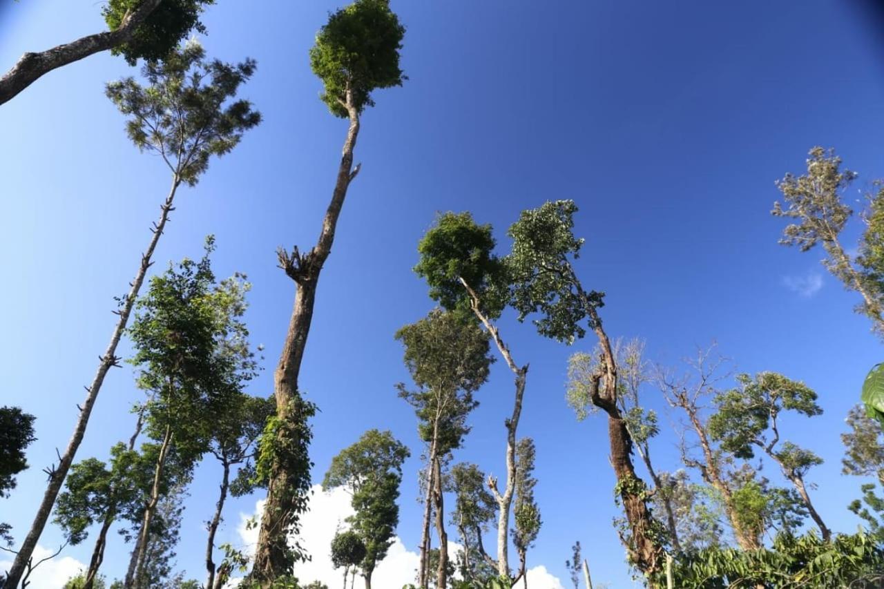 Готель Coorg Kolamotte Gonikoppal Екстер'єр фото